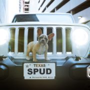 register my car in texas featured image