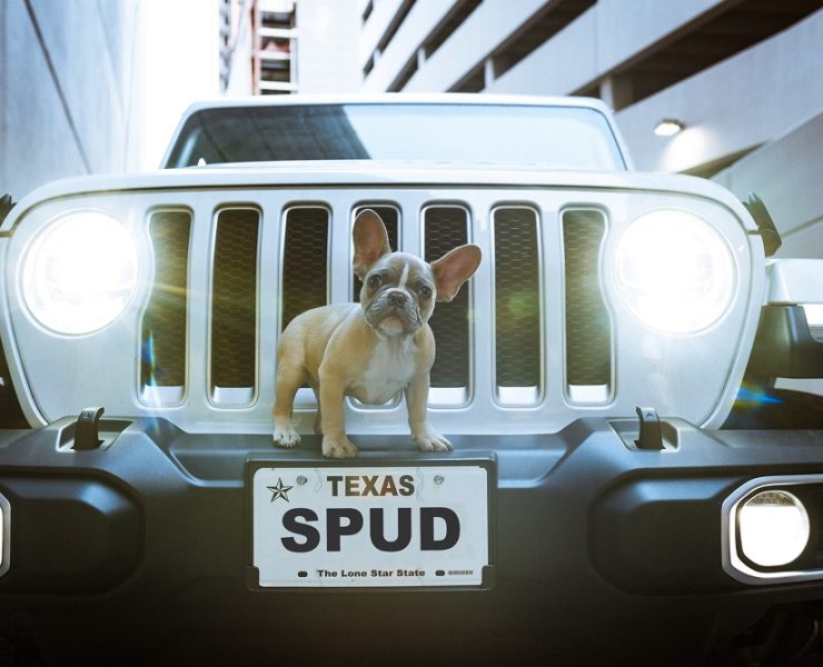 register my car in texas featured image